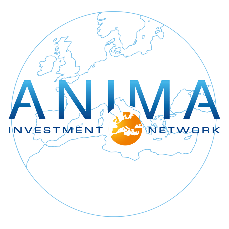 ANIMA Investment Network