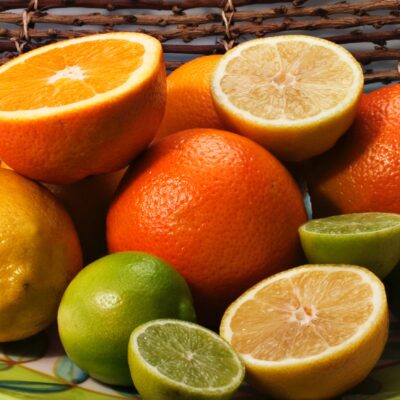 Agrumes: malgré la crise, d’éventuelles bonnes affaires pour les agriculteurs de Berkane