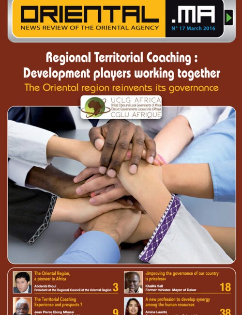 Coaching Territorial Régional : les Acteurs du développement en synergie (Version Anglaise)