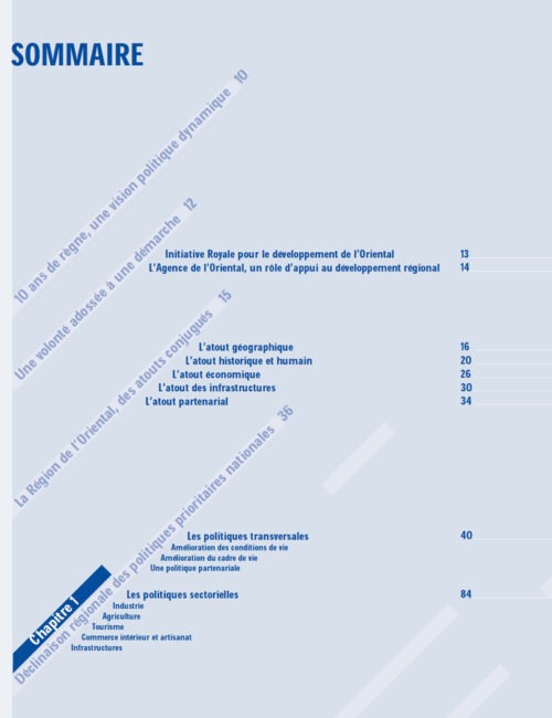10 ans de règne : Une vision politique dynamique (Version Française)