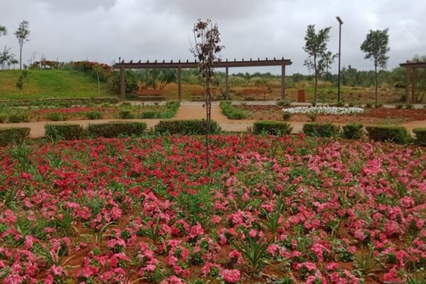 c0ae109b-5023-4491-bb44-560c224cbaa8